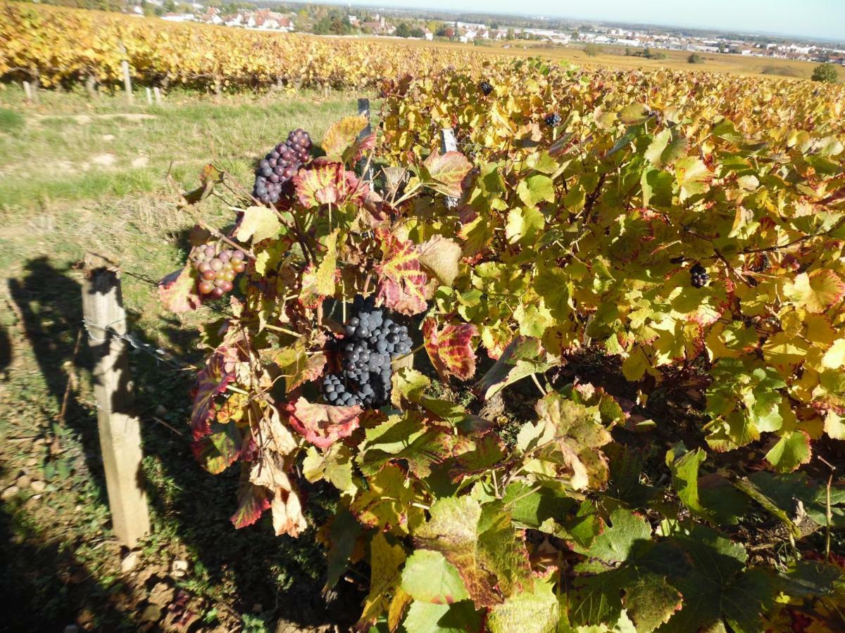 Chambres D'Hotes En Cote D'Or Corcelles-lès-Cîteaux Zewnętrze zdjęcie